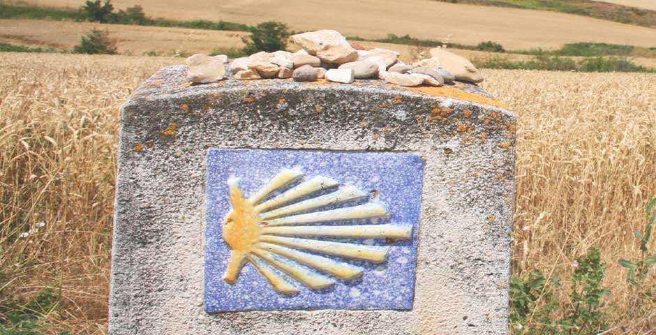 Die Jakobsmuschel das Pilgersymbol